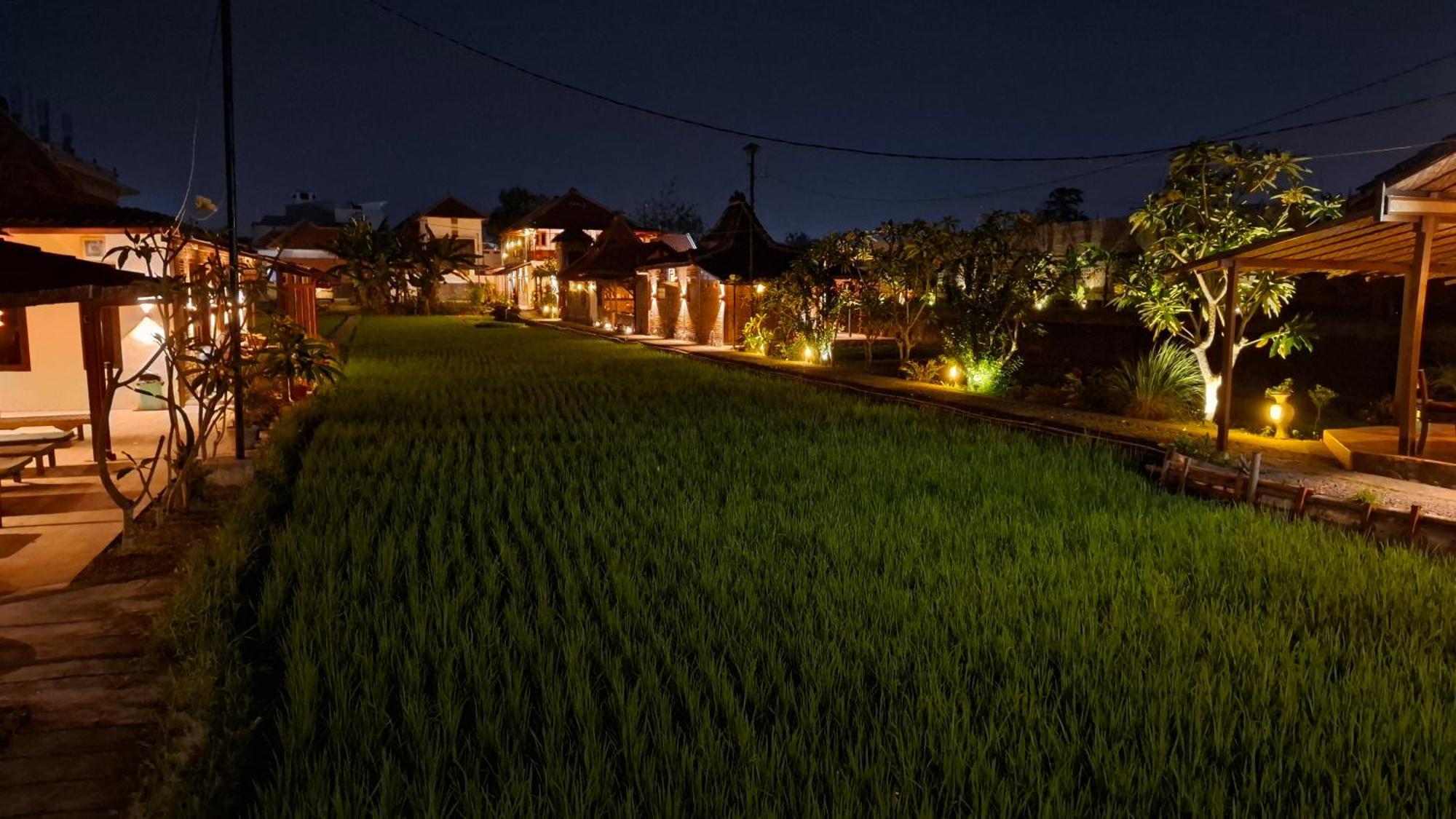 Alamanda Family Villas, Pool & Local Tours Yogyakarta Exterior foto