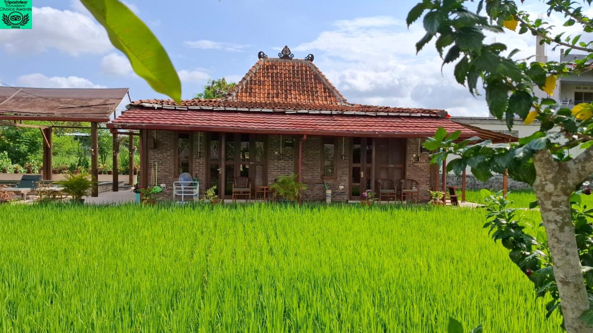 Alamanda Family Villas, Pool & Local Tours Yogyakarta Exterior foto