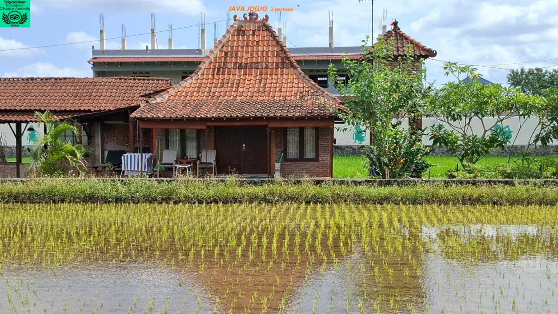 Alamanda Family Villas, Pool & Local Tours Yogyakarta Exterior foto